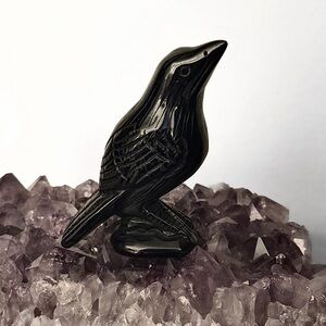 NEW AAA Premium Grade Black Obsidian Crystal Crow